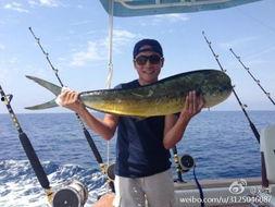 娱乐吃瓜钓鱼视频大全